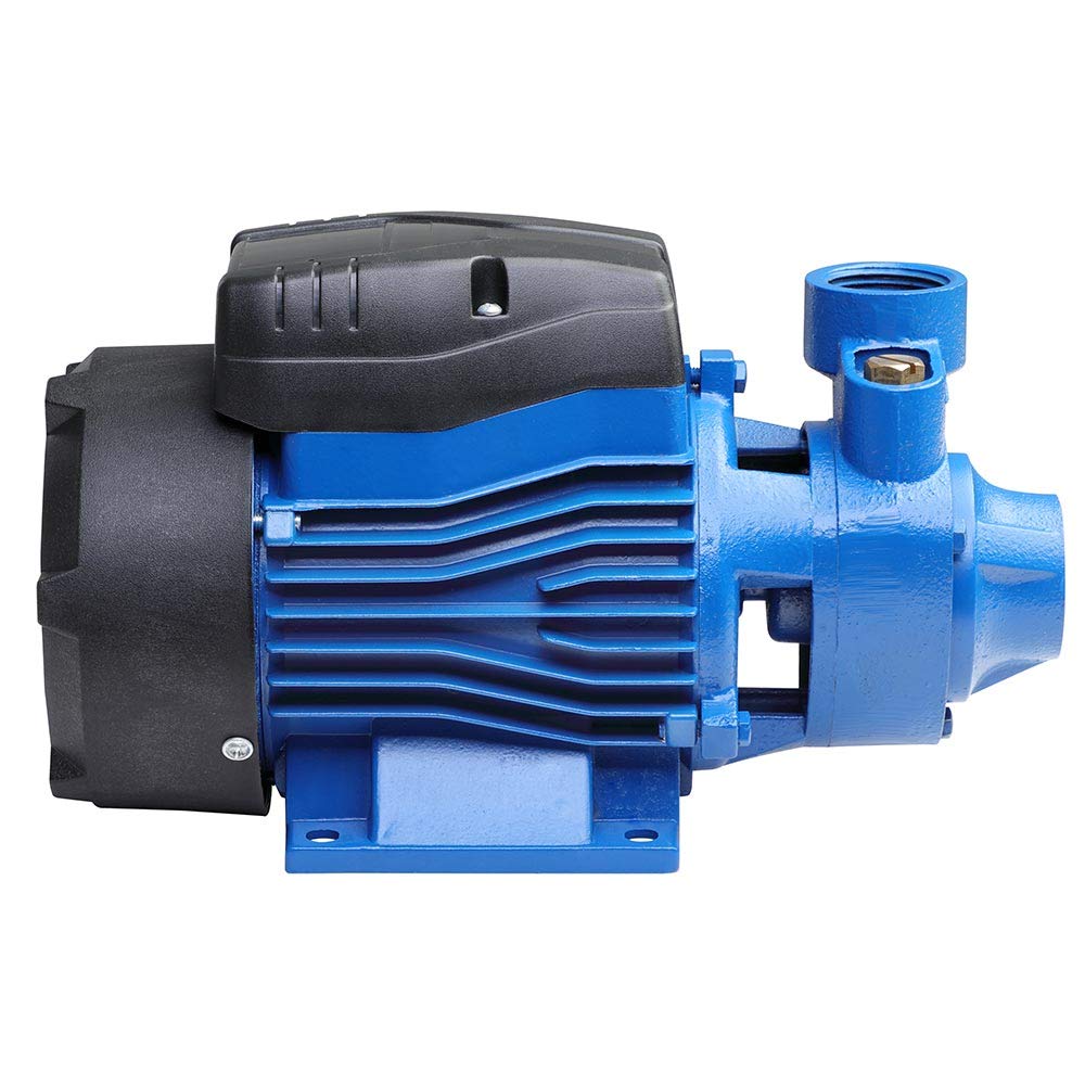 Bakaji Elettropompa Autodescante per Autoclave Periferica Potenza 0,5 HP (370W) Pompa con Motore in Rame Girante in Ottone Albero in Acciaio e Corpo in Ghisa Portata Massima 30L/min