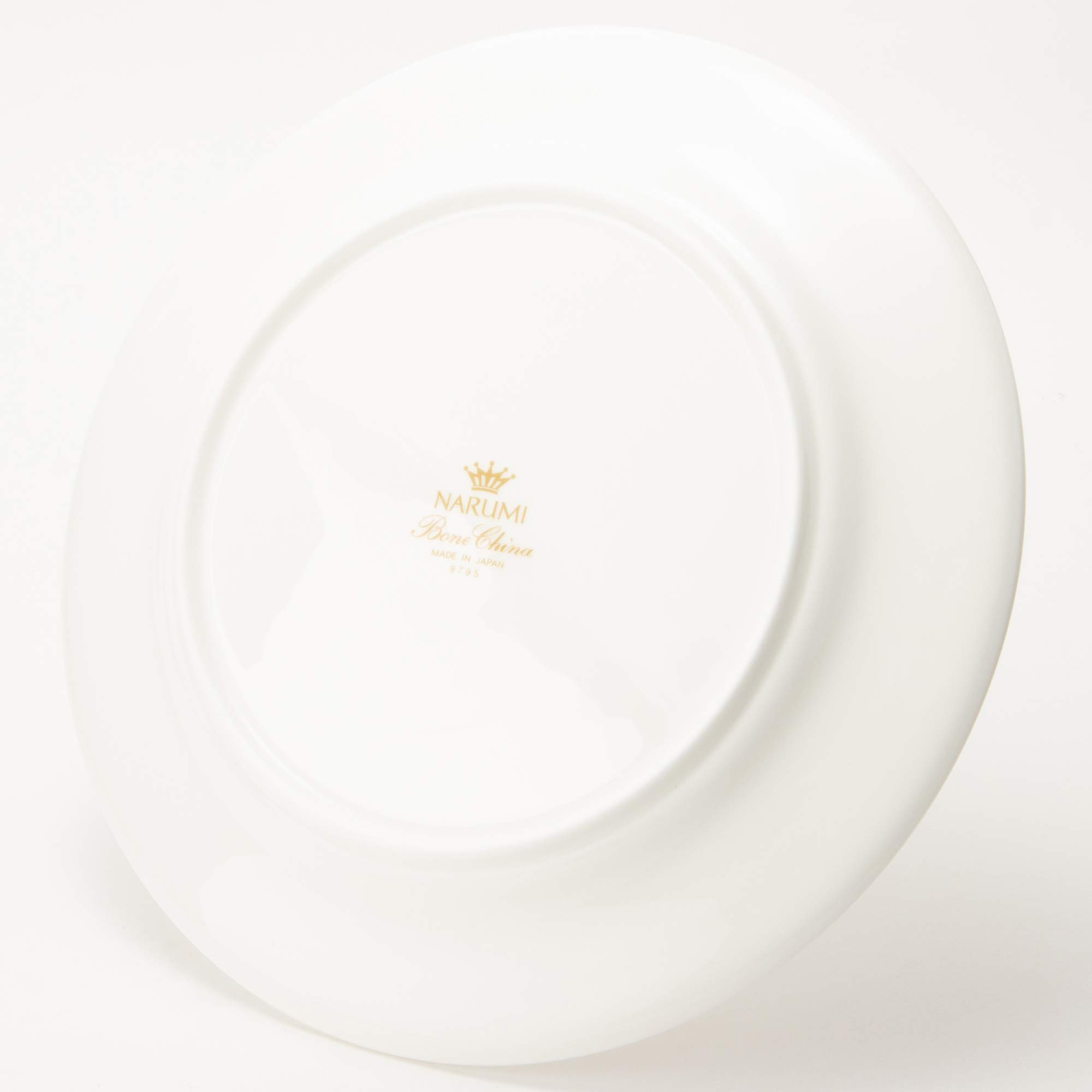 Amazon.com: Narumi 9795-1522 Plus Serum Dinner Plate, 9.8 inches