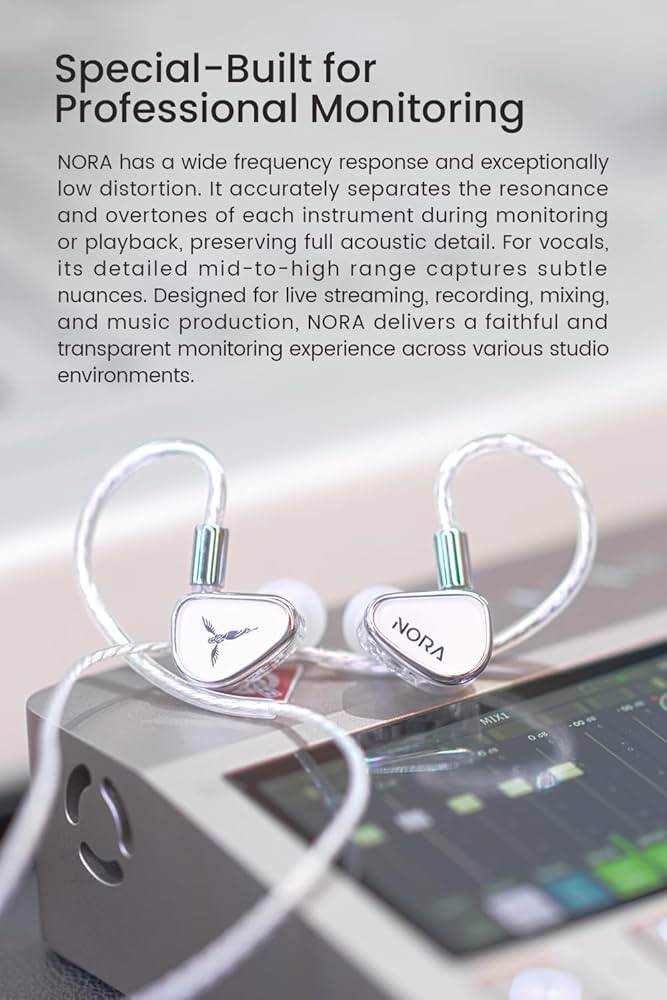 TANCHJIM NORA プロフェッショナルインイヤーモニター イヤホン Amazon.com: TANCHJIM NORA Professional In-Ear Monitors, 1DD DTM5