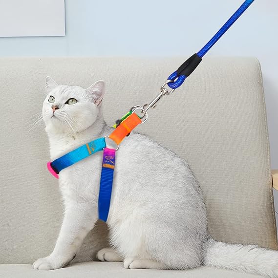 Dog Harness & Leash Set Adjustable No Pull Safe Nylon Pet Harness with Leash for Outdoor Walking for Dogs Medium Rainbow