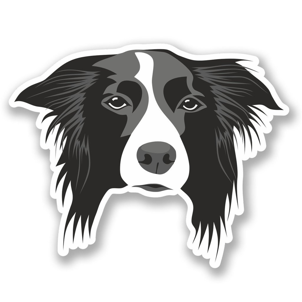 Destinationvinyl Multi 2 X 10Cm/100Mm Border Collie Dog Vinyl Self Adhesive Sticker Decal Laptop Travel Luggage Car Bike Sign Fun #5444