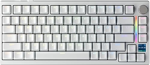 GK GAMAKAY TK75HE V2 Rapid Trigger Wireless Keyboard TFT Screen, Tri-Mode BT/2.4GHz/USB-C, 8KHz Polling Rate 0.005mm RT, Hall Effect Magnetic Switch 75% Gaming Keyboard (Black, Magnetic Mercury)