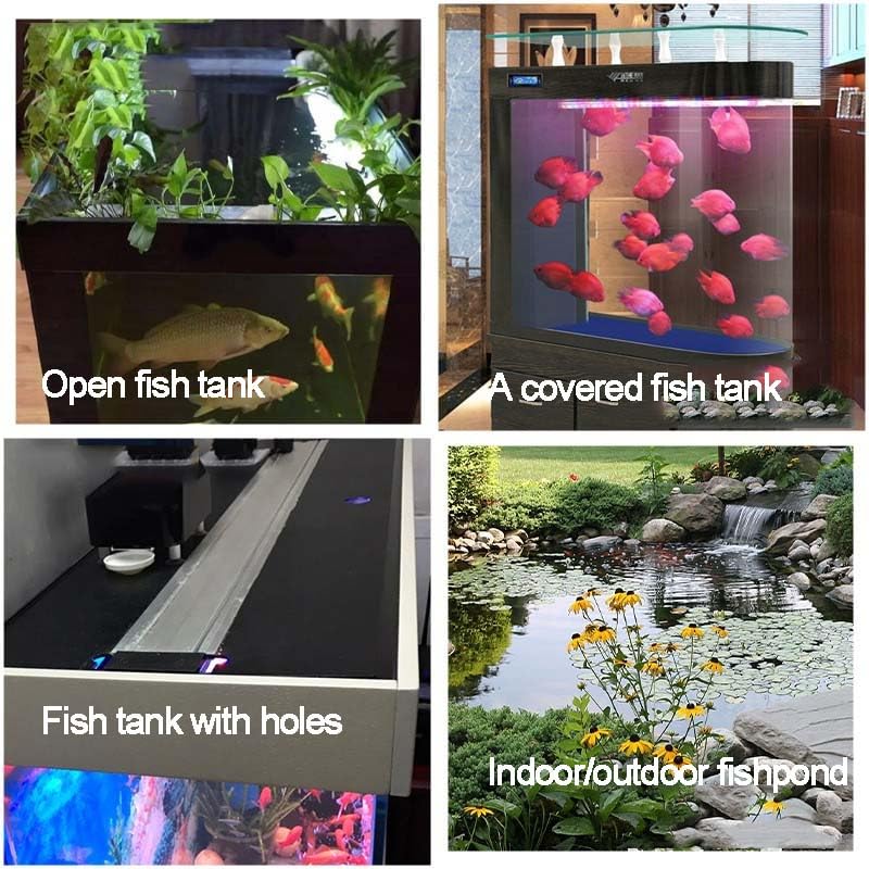 Mangeoire solaire automatique pour poissons, contrôle par application WiFi, alimentation multiple, minuterie programmable pour aquarium intérieur/extérieur