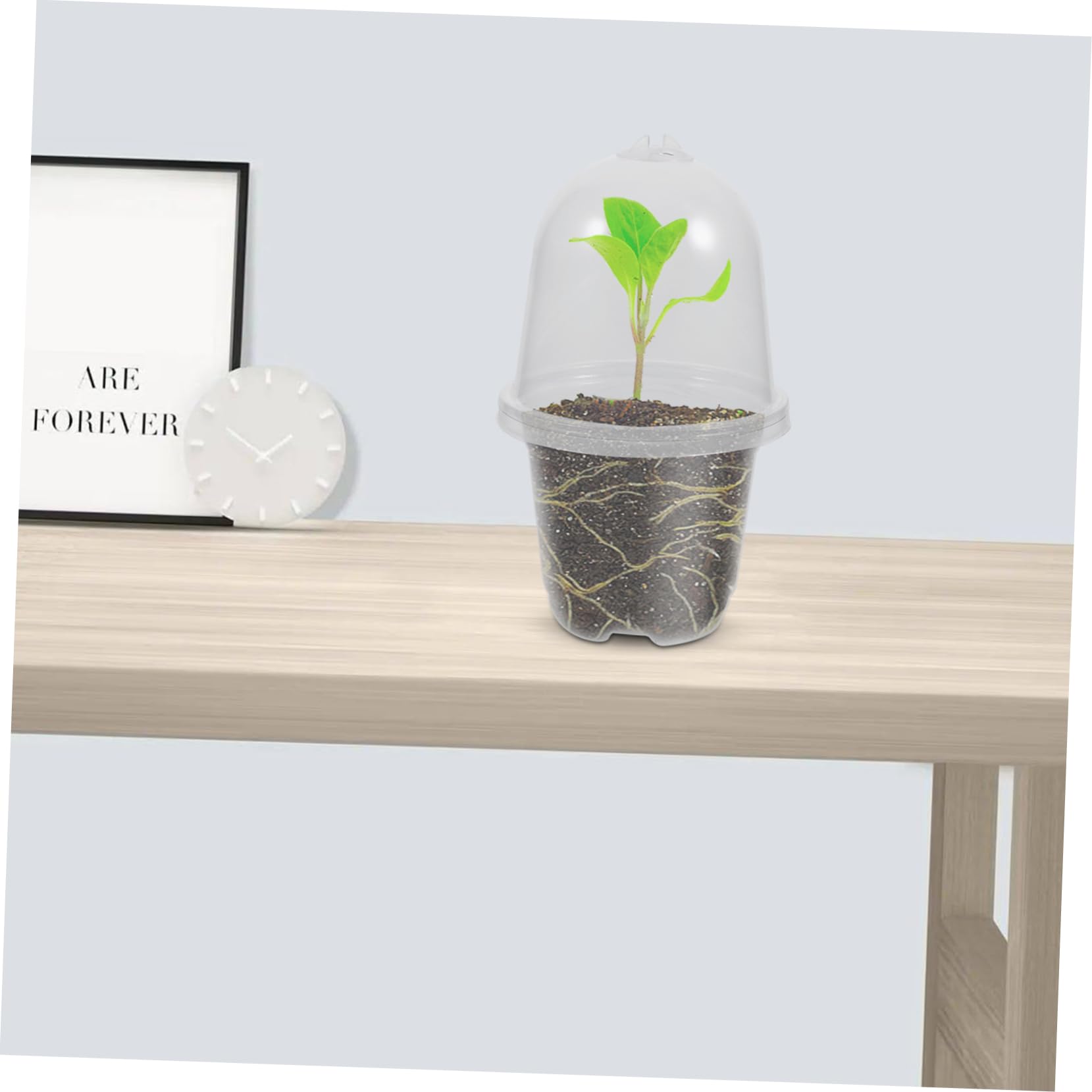 INOOMP 20sets Vasi Da Giardino Con Copertura Umidificatrice Vasi Per Piante Trasparenti Con Drenaggio e Design Moderno Per Casa e Giardino
