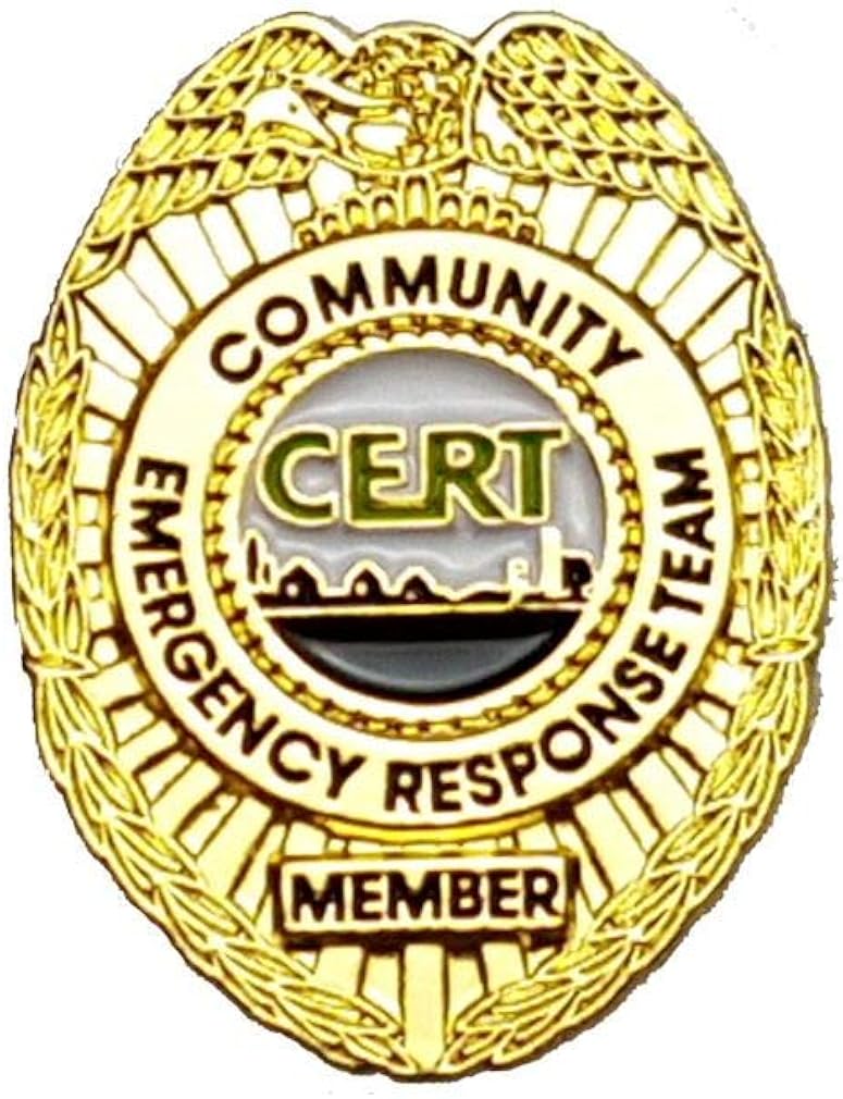 CERT Lapel Pin Community Emergency Response Team Gold Badge US FEMA A