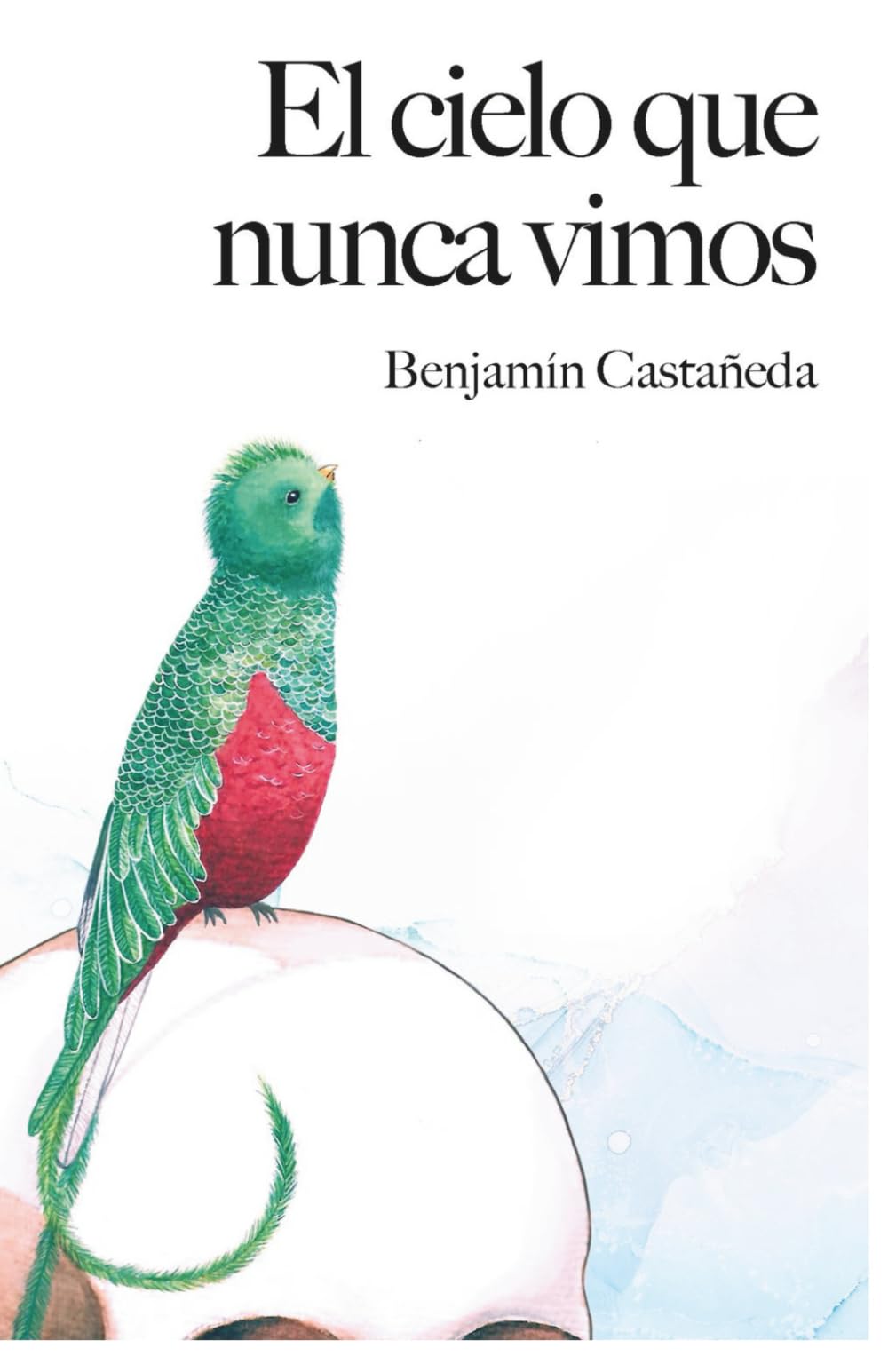 El cielo que nunca vimos
