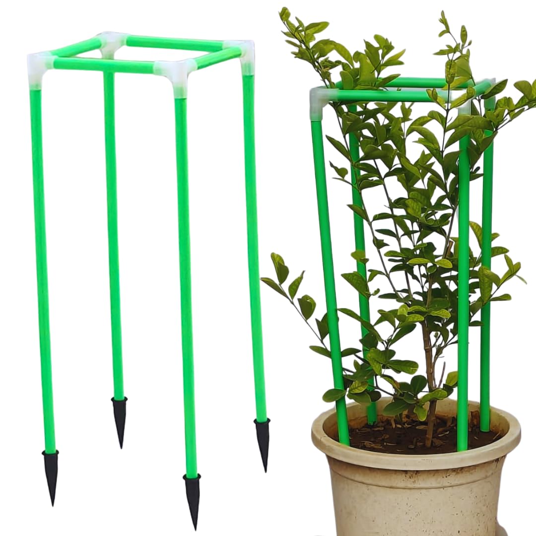Trelliskart Garden Trellis Plant Cage Plant Support with Stake Plant Stand with Creeper Support Plant Support Poles and Stakes Plant Trainer Poles -4x4 Inch, Green (B0D84DR65J) Amazon Price History, Amazon Price Tracker