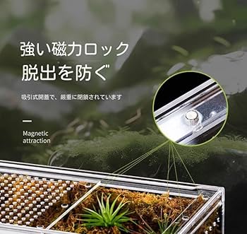 Amazon | レプタイルボックス 一体水漏れ防止 爬虫類 飼育ケース