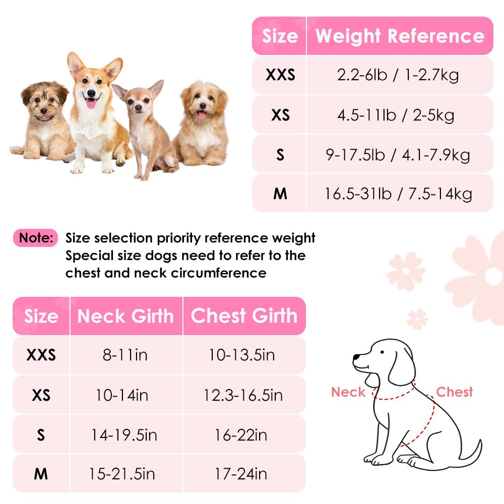 SlowTon Puppy Harness and Leash Sets - Image 3
