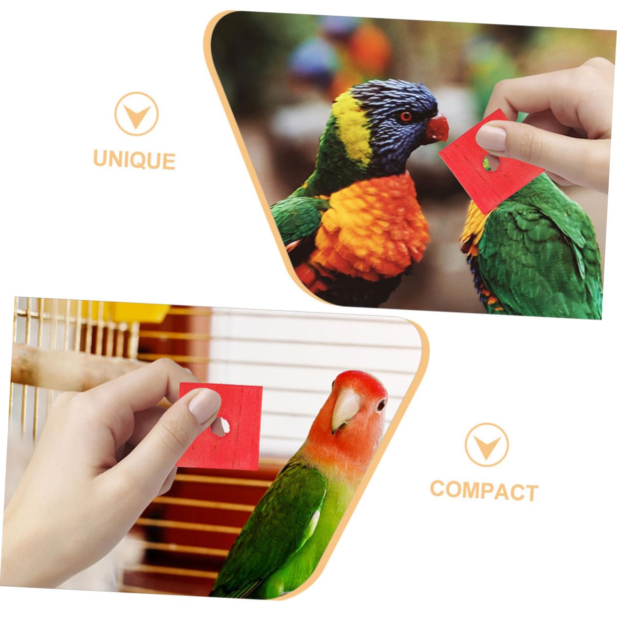 BESPORTBLE 250 Piezas Juguete de astillas de Madera para Loros Taco Madera mordedura de pájaro Juguete pájaro de de para Masticar Aves cacatúas de Loro s