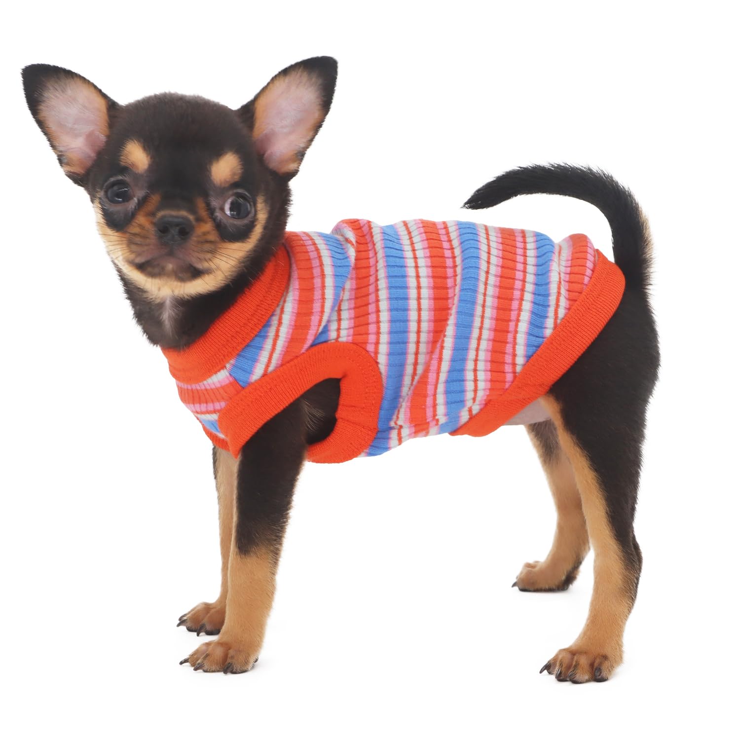 LOPHIPETS Camiseta sin mangas para perros pequeños, 100 % algodón, para perros pequeños, taza de té, chihuahua, yorkie, ropa para cachorros, color rojo/XXS