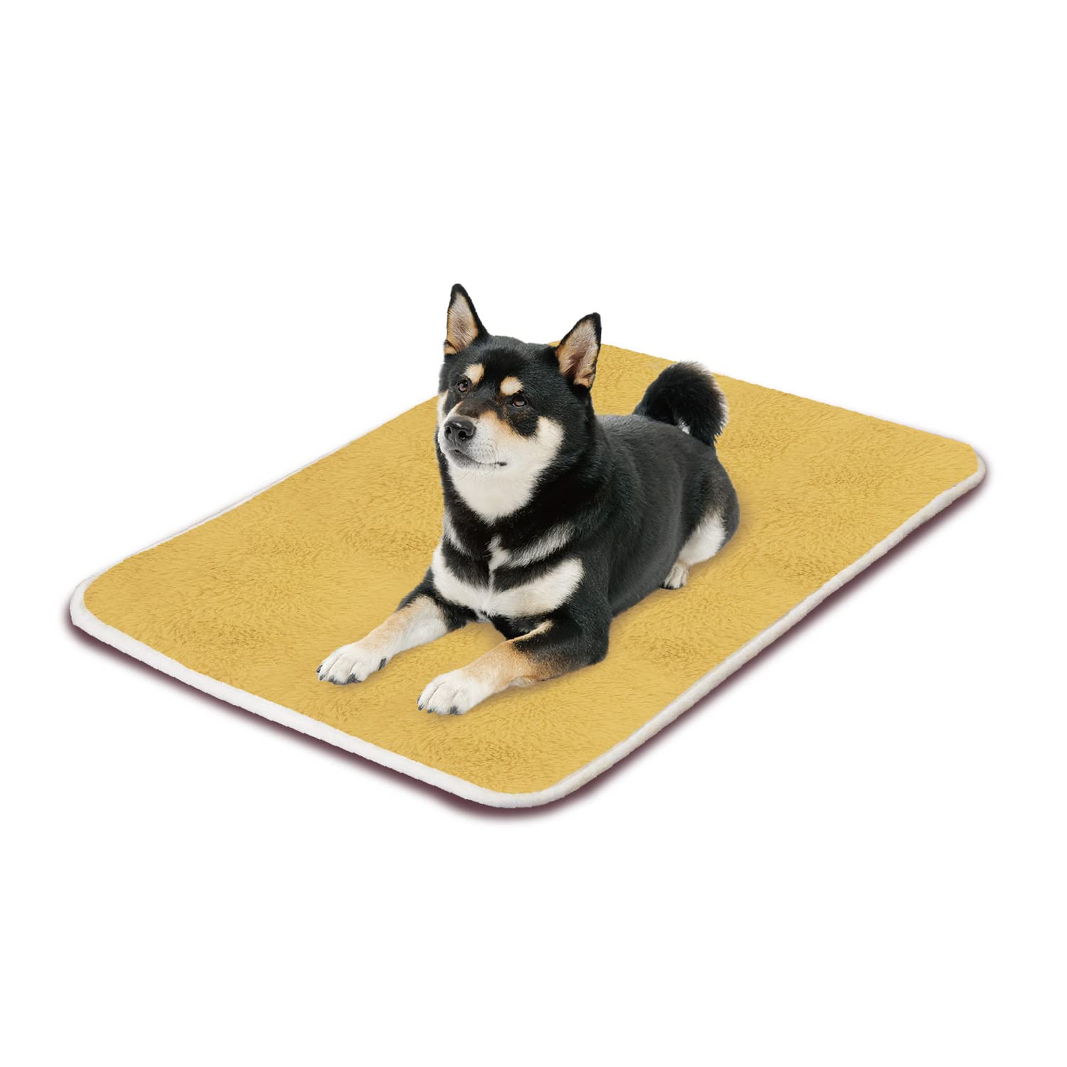 不毛の大地 英語版 MB2 4枚➕ゆうパケットミニ 楽天市場】毛布 ニューマイヤー毛布 BT21 ハーフサイズ 100×140cm