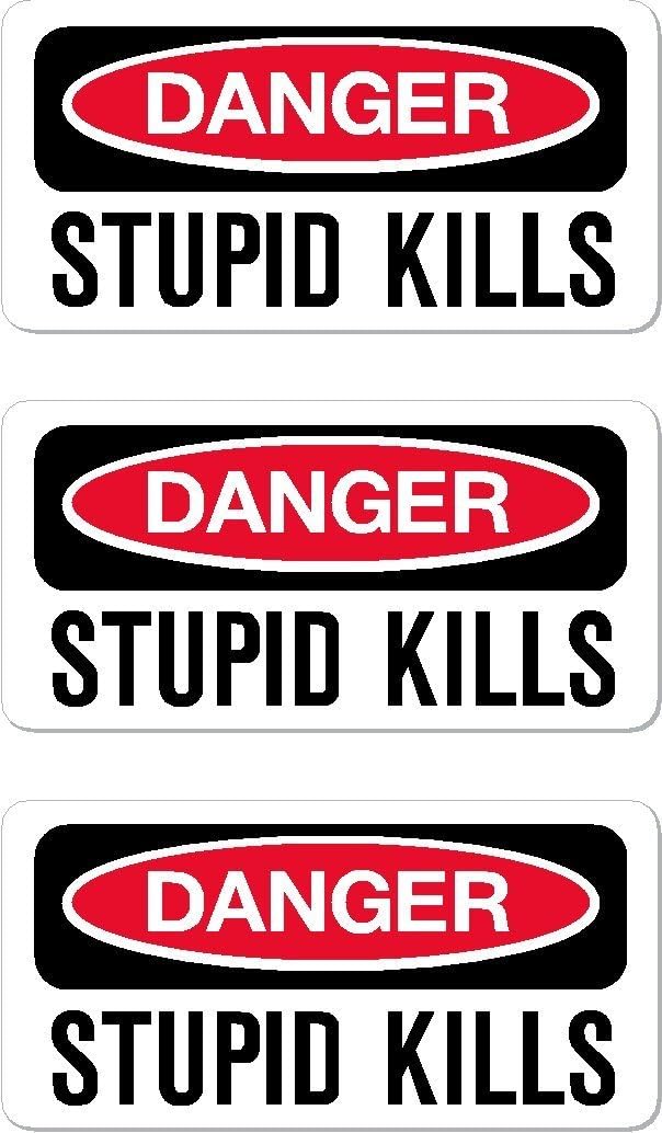 3 | Danger Stupid Kills Lunch Box, Hard Hat, Helmet Stickers 1" x 2", 3 Pack, Funny, Humor, Hard Hat, Lunch Box, Tool Box, Helmet Stickers 1" x 2"