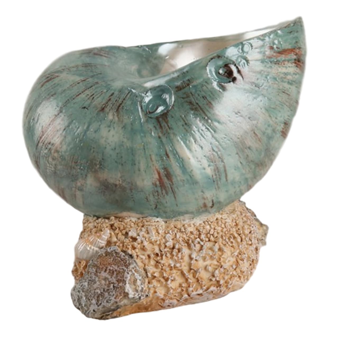 Ciieeo Conch Ornaments Beachy Sea Decor Fish Sand Beach Towel Animal Shells Clam Shell Decor Decorate Nautical Decoration Sea Creatures Board Shell Figures Large Conch Seashell Resin