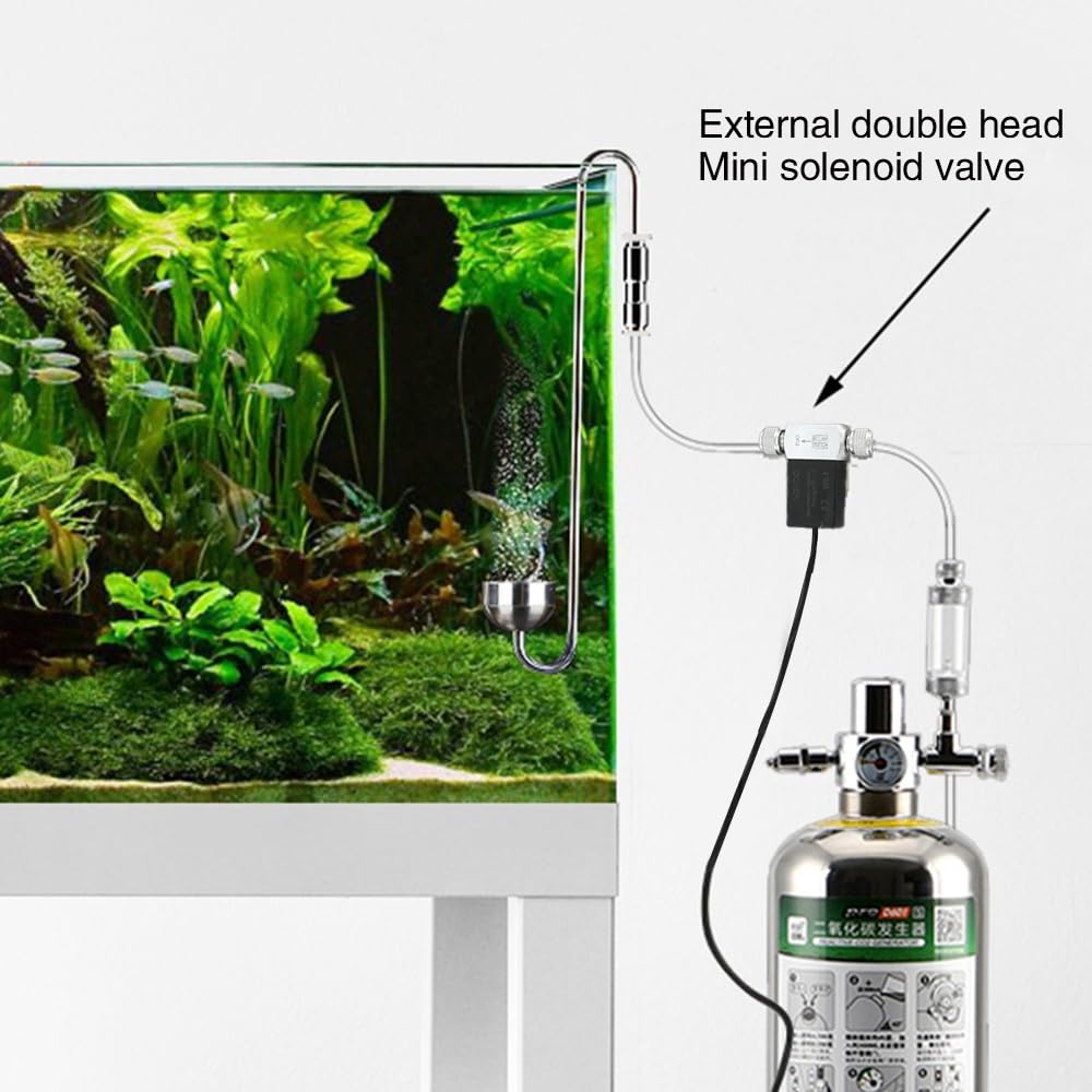 DONGKER Électrovanne de CO2 pour Aquarium,Régulateur de Système de CO2 Simple/Double DC 12 V avec Contrôleur de Synchronisation pour Aquarium,Réservoir de Poissons,Plante d'eau,Culture d'herbe