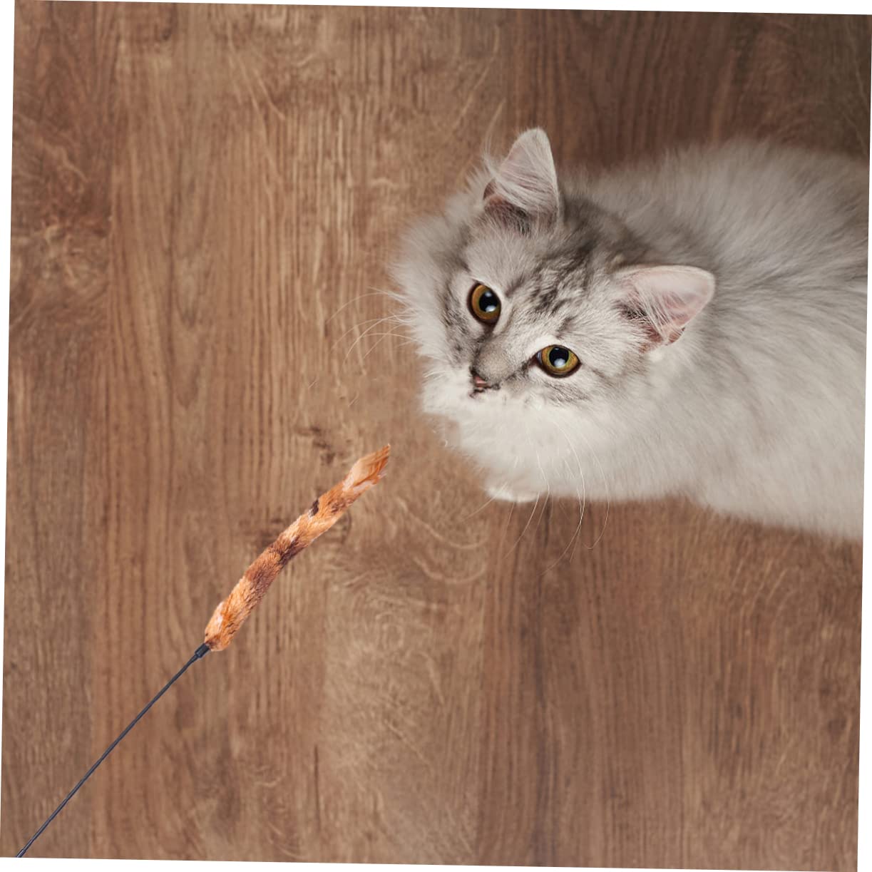 FRCOLOR 15 Piezas Gato Teaser Juguetes para Gatitos Accesorios para Mascotas burlas Suministros para Mascotas Juguetes para Mascotas Juguetes de Peluche Juguetes Suministros para Gatos Juguete Gato