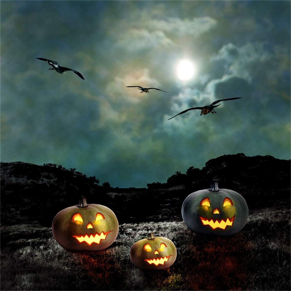 Leyiyi 4x4ft Happy Halloween Backdrop Witch Secret Garden Sunset Grunge Hill Pumpkin Lantern Round Moon Cloudy Sky Bats Photography Background Horror Night Party Photo Studio Prop Vinyl Wallpaper