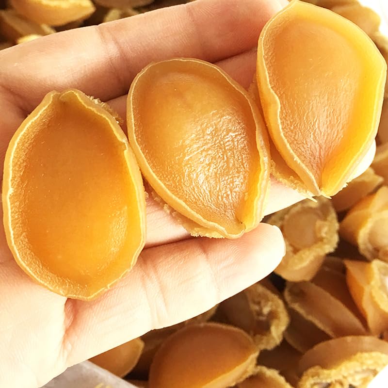 Dalian Chinese Abalone Dry Vacuum Pack 1 Inch Yaxa Colombia