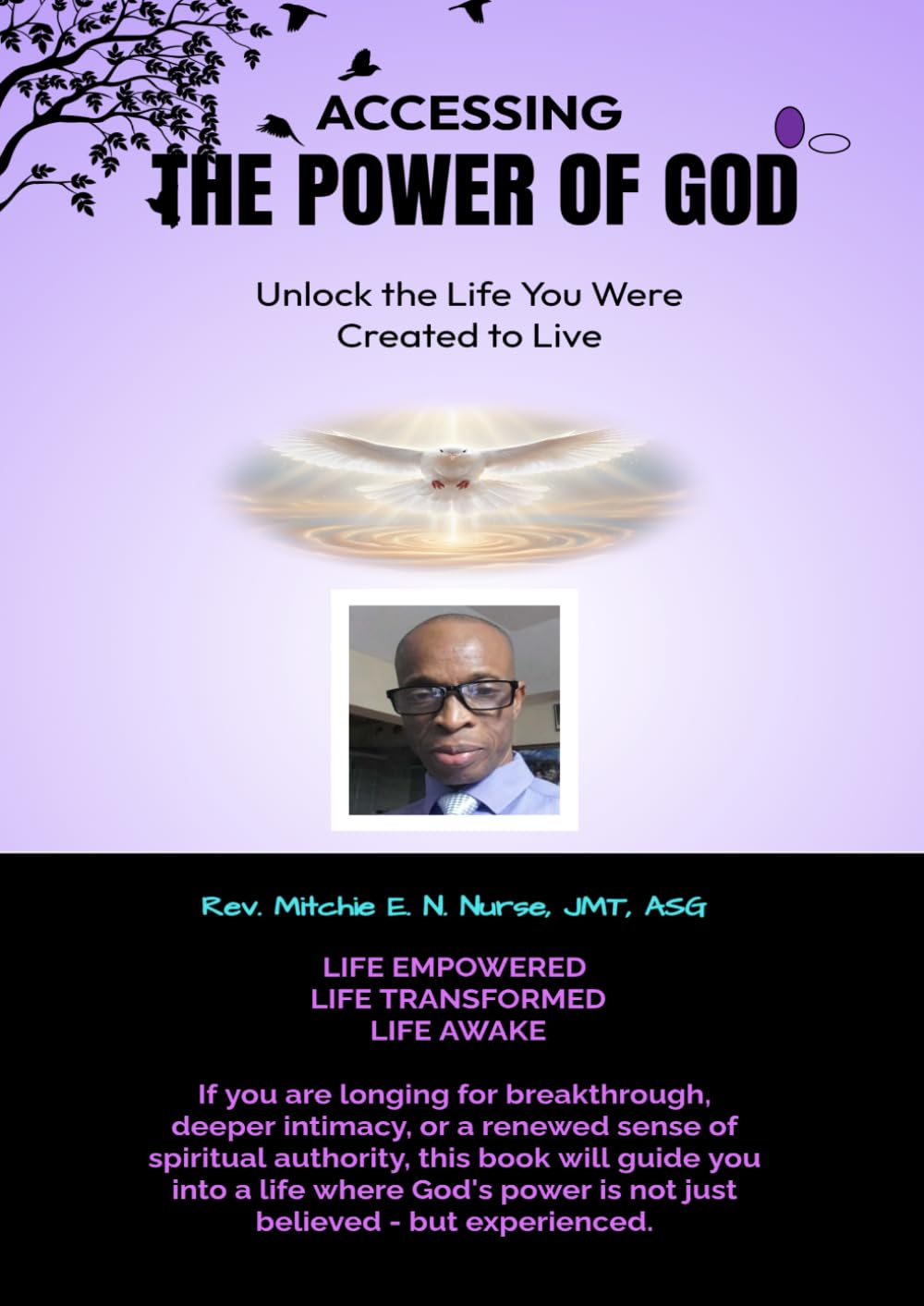 ACCESSING THE POWER OF GOD: Unlocking the Life You Were Created to Live
