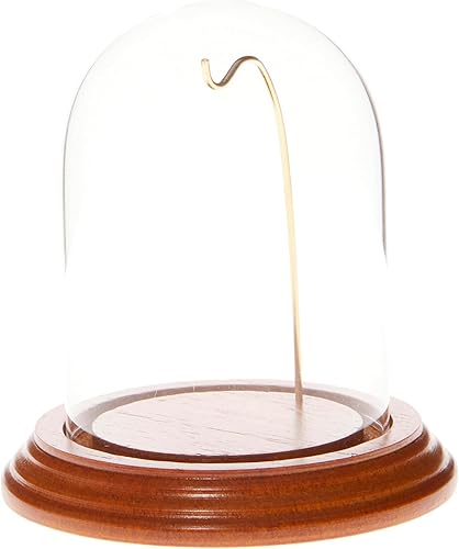 Miniatura 6 de Plymor vitrinas de cristal de exposición, con forma de campana, con alambre de latón, 3x4 pulgadas