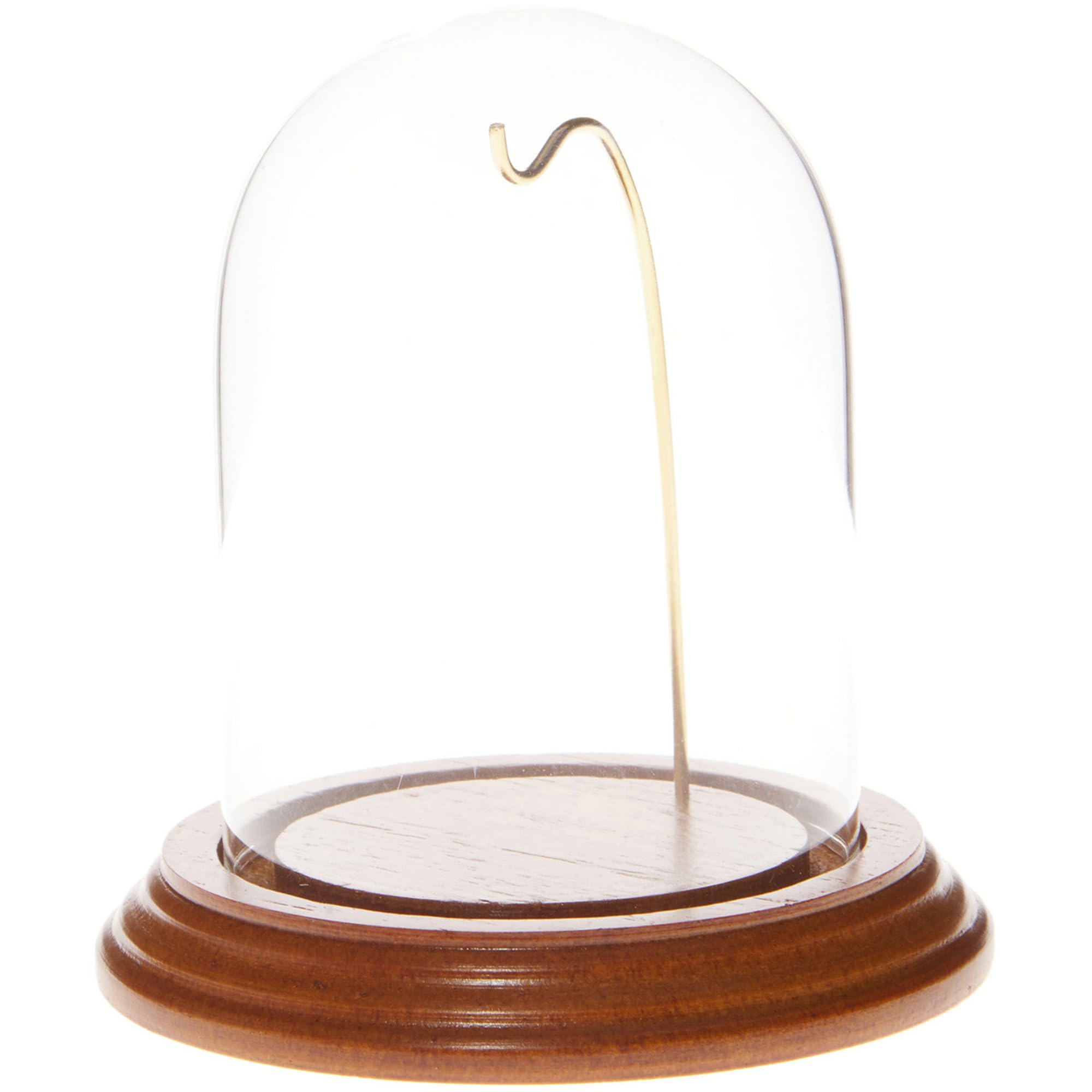 Cloche dôme en verre idéale pour offrir un souvenir mémorable
