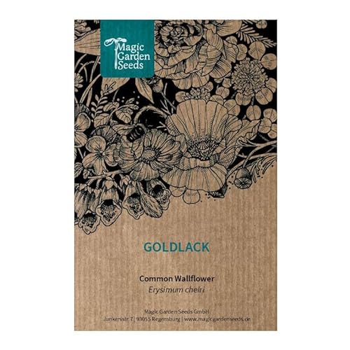 Giroflée jaune (Erysimum cheiri) 300 graines de plante odorante populaire du Moyen Age. Fleur à couper. Bonne plante fourragère pour les abeilles. Vivace.