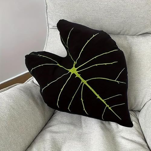 unsnurnoch tVV[ts[ - 3D Monstera Deliciosa ANZgX[s[ JE`A\t@ArO[̑ - ÄDƂւ̗zIȃMtg ƑɍœK (ubNX)