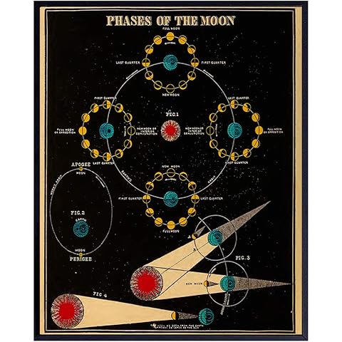 Astronomy Moon Phases Wall Art Print - 8x10 Vintage Lunar Home Decor, Astrological Room Decoration Poster - Cool Unique Gift for Planetary Astrology Fans - Unframed Photo Picture