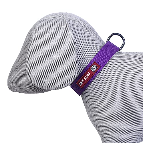 PetsLike Collar, Purple (20 mm)