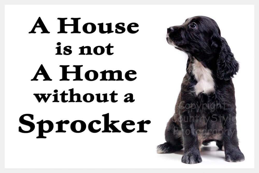 Countrystyle Gifts Black Sprocker Spaniel Fridge Magnet - A House Is Not A Home Without A Sprocker