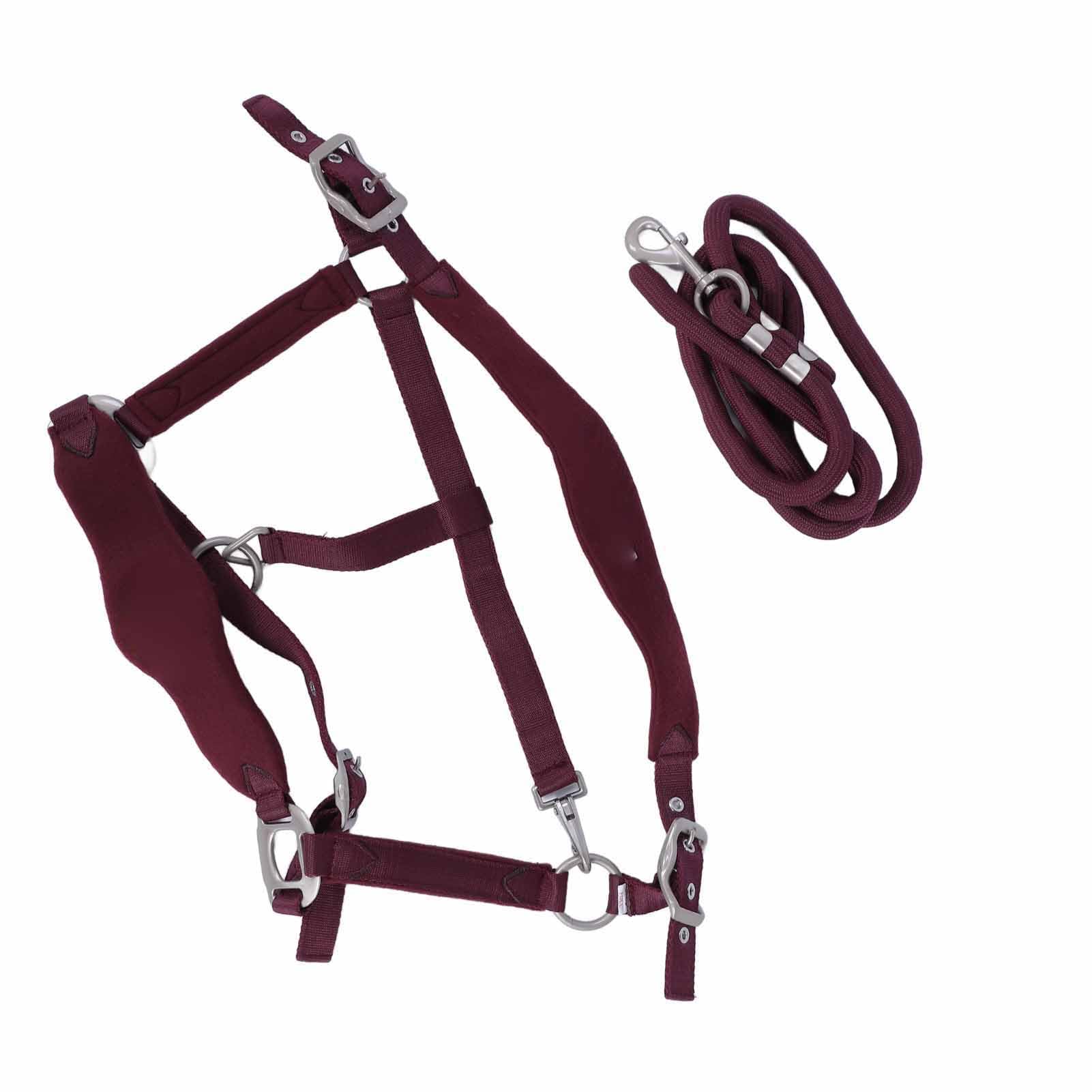 Cabestro para Caballos, Acolchado Ajustable de Poliéster, Juegos de Cabestro y Cuerda de Plomo Antifricción para Caballos, y Cuerda de Plomo para con Correa de 2 M para Entrenamiento Uso