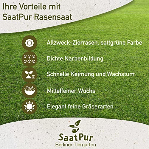Foto von SaatPur® Rasensamen Berliner Tiergarten 5kg für ca. 200 m², Mehrjährige Zierrasen Rasenmischung aus mehreren Rasenarten, meistens 4 bis 5, satt grün, Schmuckrasen für Neusaat + Nachsaat