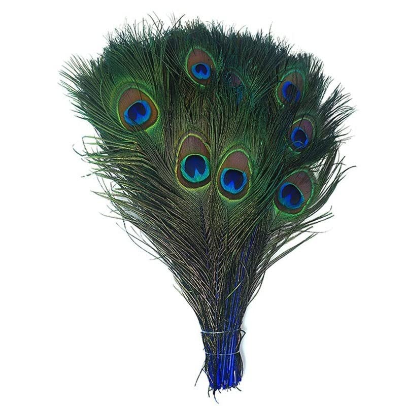 Plume de paon naturel pour arrangement de fleurs et centre de table de mariage