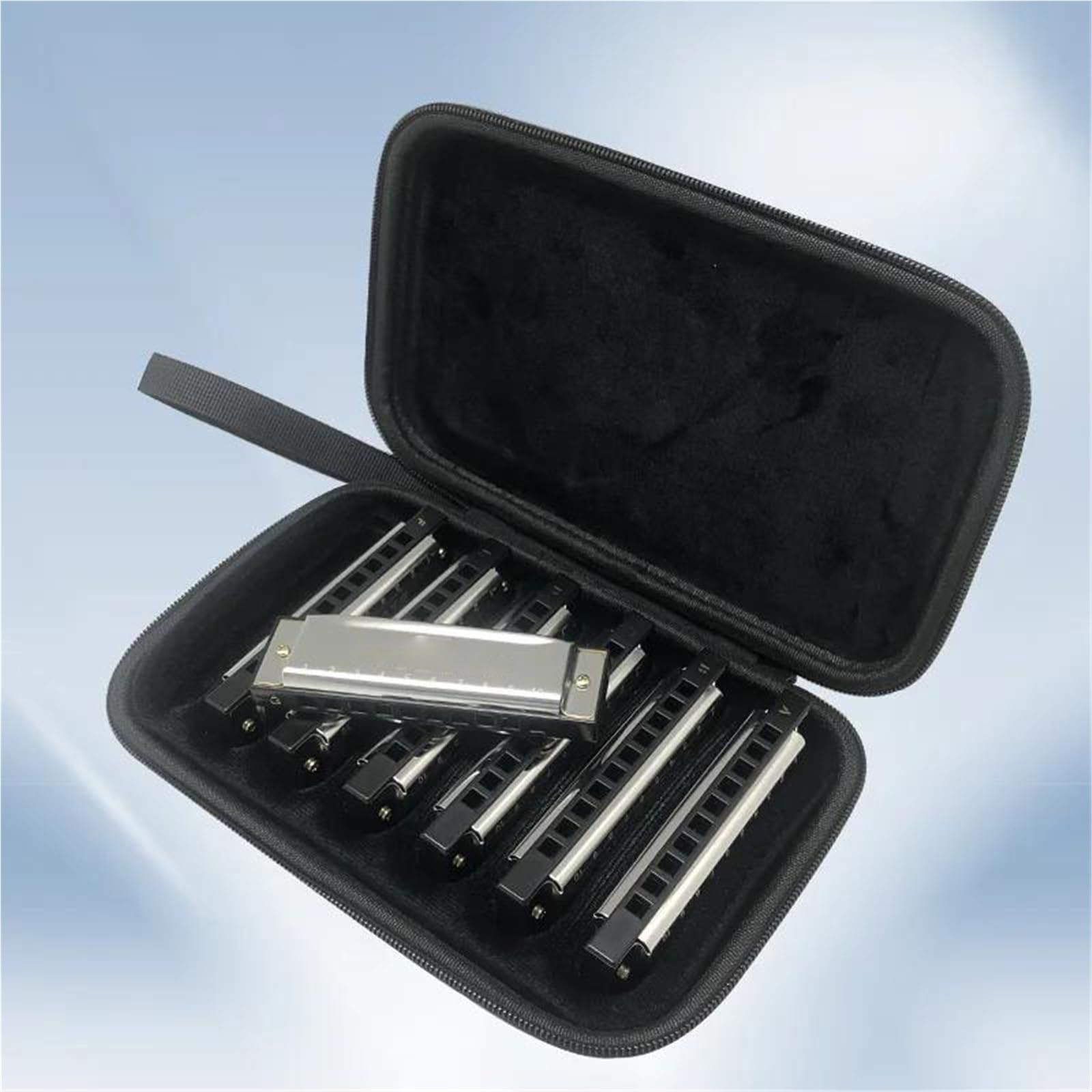 Set di Armonica Blues A 10 Fori 7 Toni con Custodia per Principianti Professionisti Adulti(Silver)
