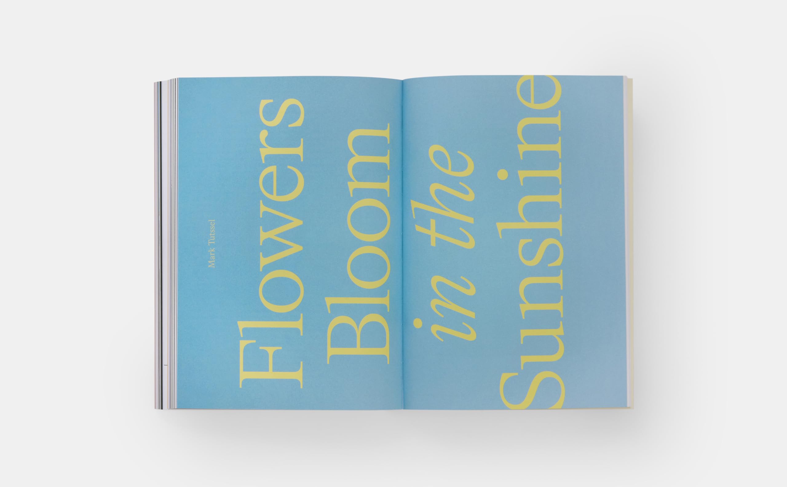 I love It. What is it: The power of instinct in design and branding