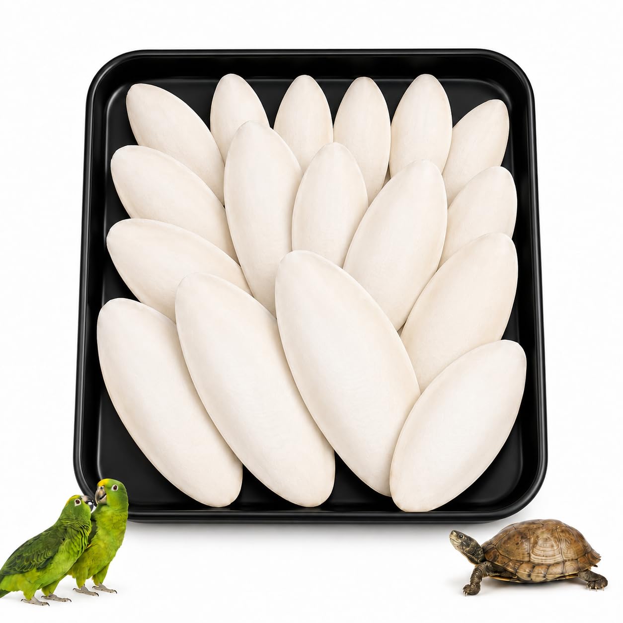 20PCS Cuttlefish Bone Set, Mixed Sizes 3-11 cm, Natural Cuttlefish for Birds and Tortoise, Cuttlefish Bone for Snails
