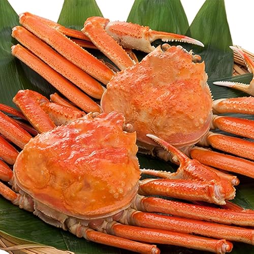 킢I YCKj 500g×2t Ⓚ {CYC {킢  I Jj