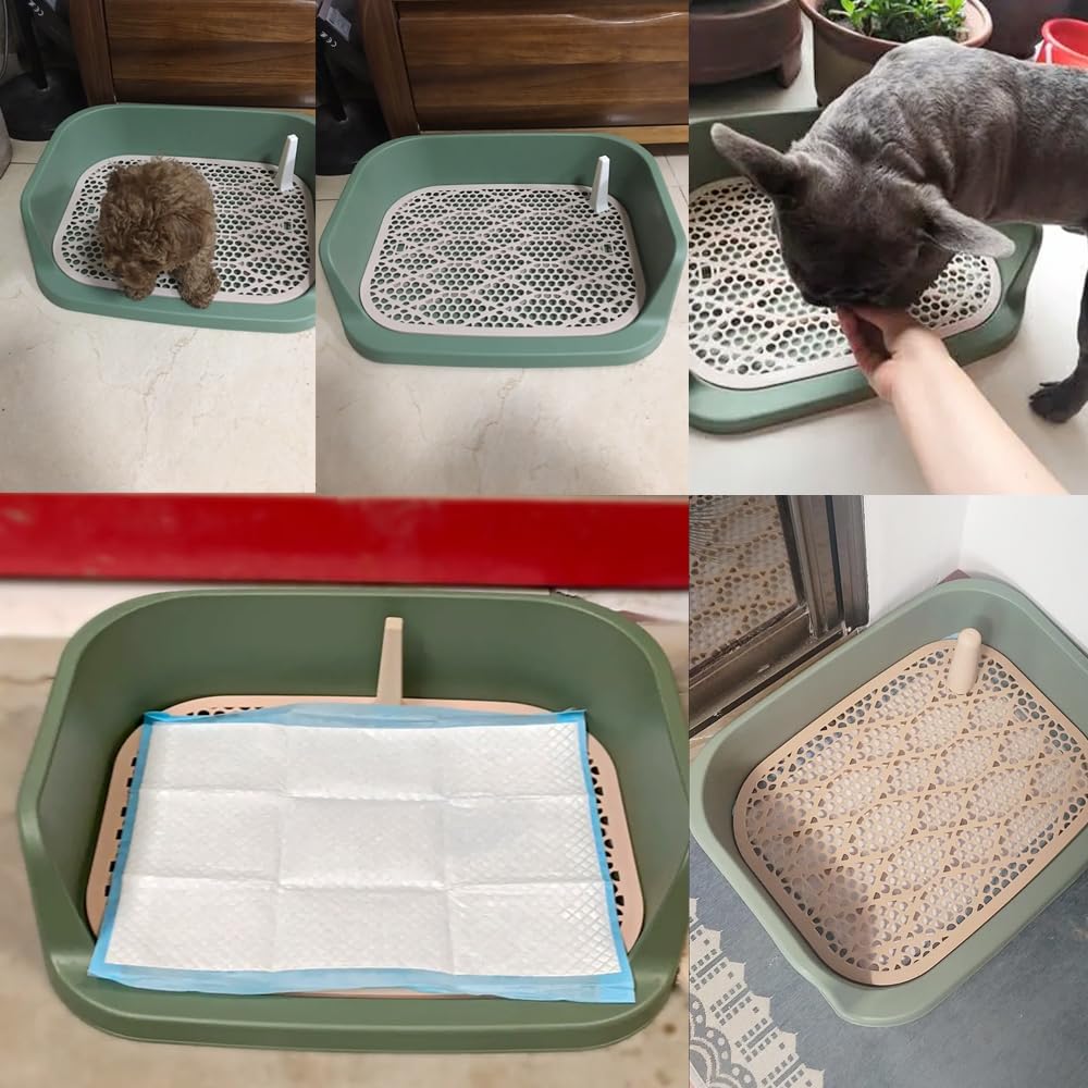 Bandeja de entrenamiento para mascotas, diseño de rejilla con borde elevado -60 x 50 vm (verde oscuro)