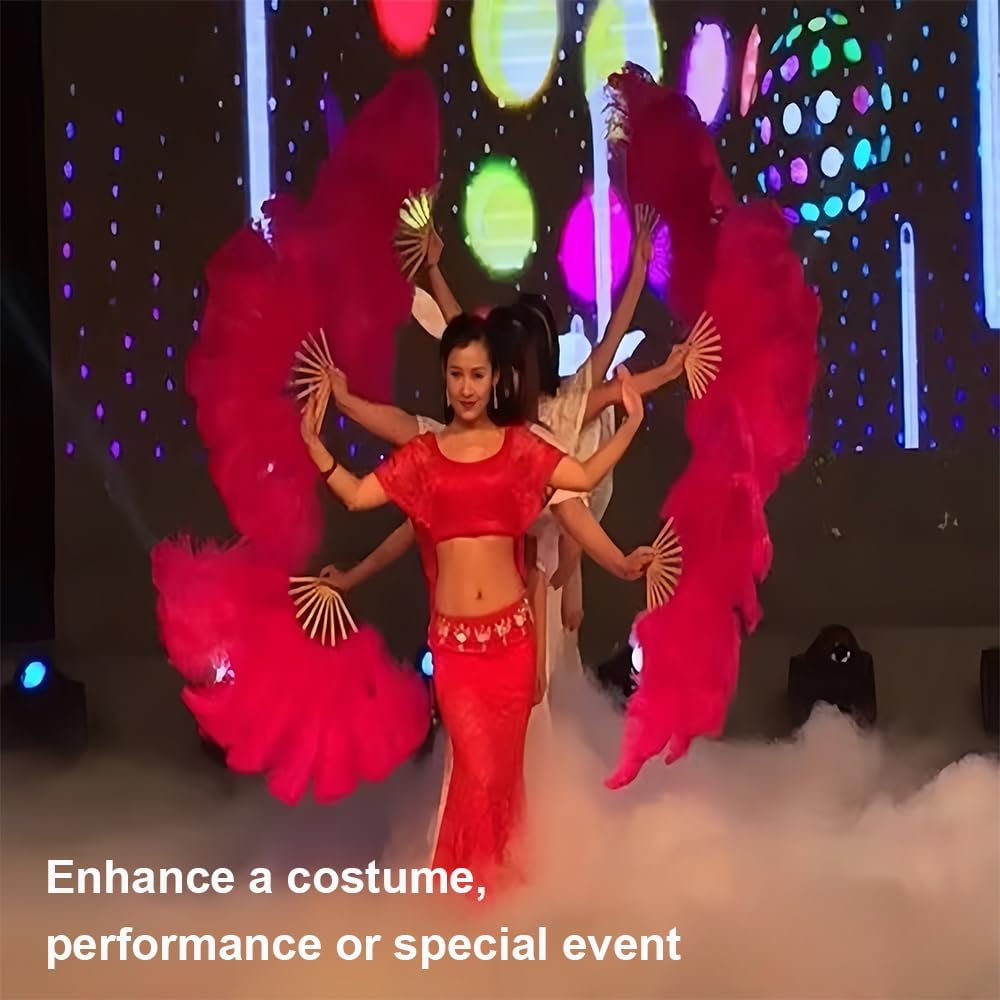 35inch Feather Fan 13 Bone Ostrich Feather Fan Props Fluffy Feather Fans for Burlesque Stage Show Dance Performance (Right, Red)