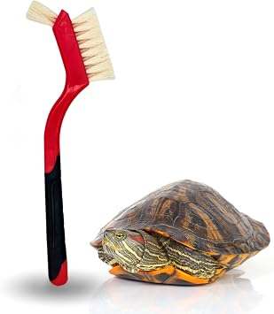 Turtle Cleaning Brush - Gently Remove Dirt from Turtles and Tortoises - Red by Snout and Shell