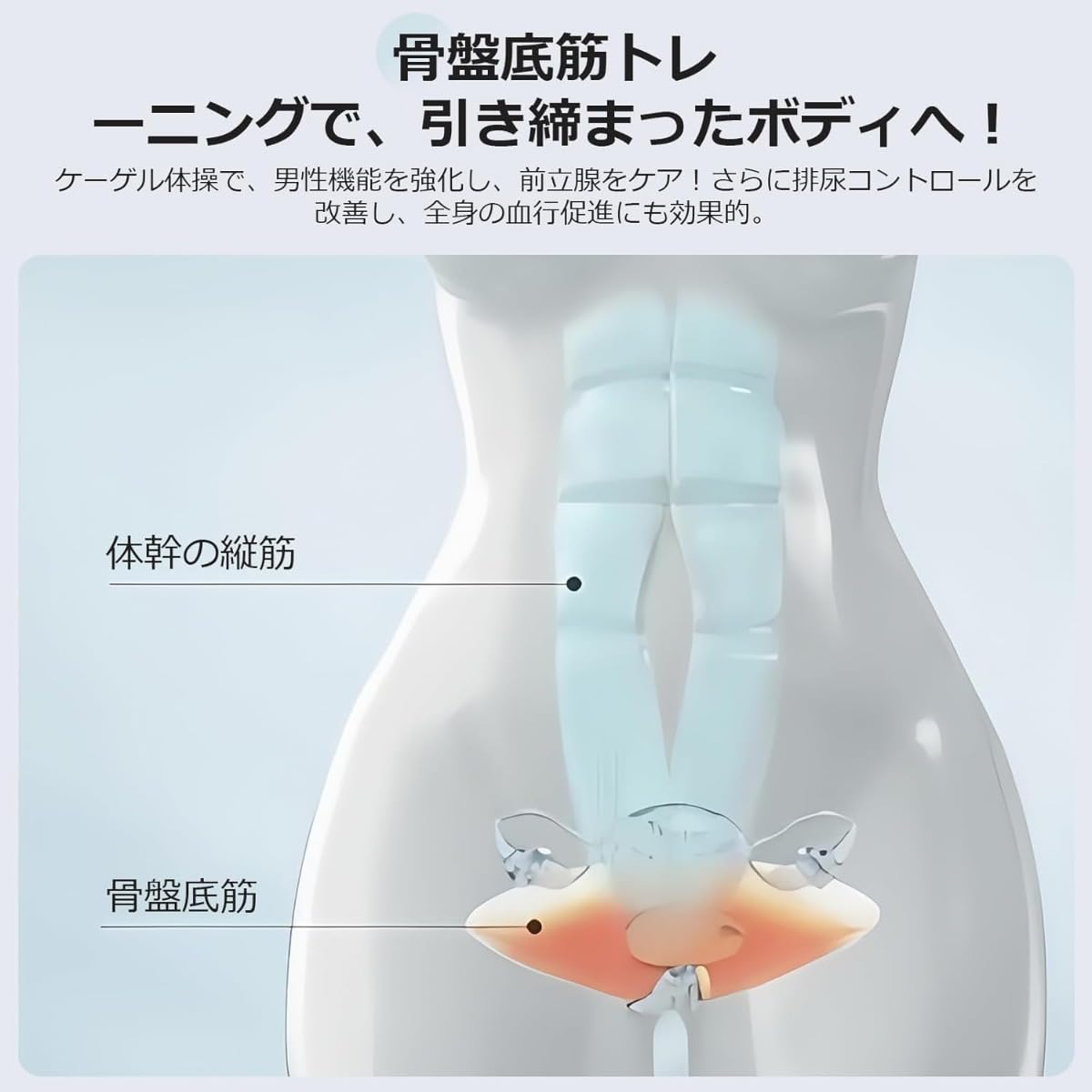 Amazon.co.jp: Sivro マイ キュット PC筋 骨盤底筋トレーニング器具