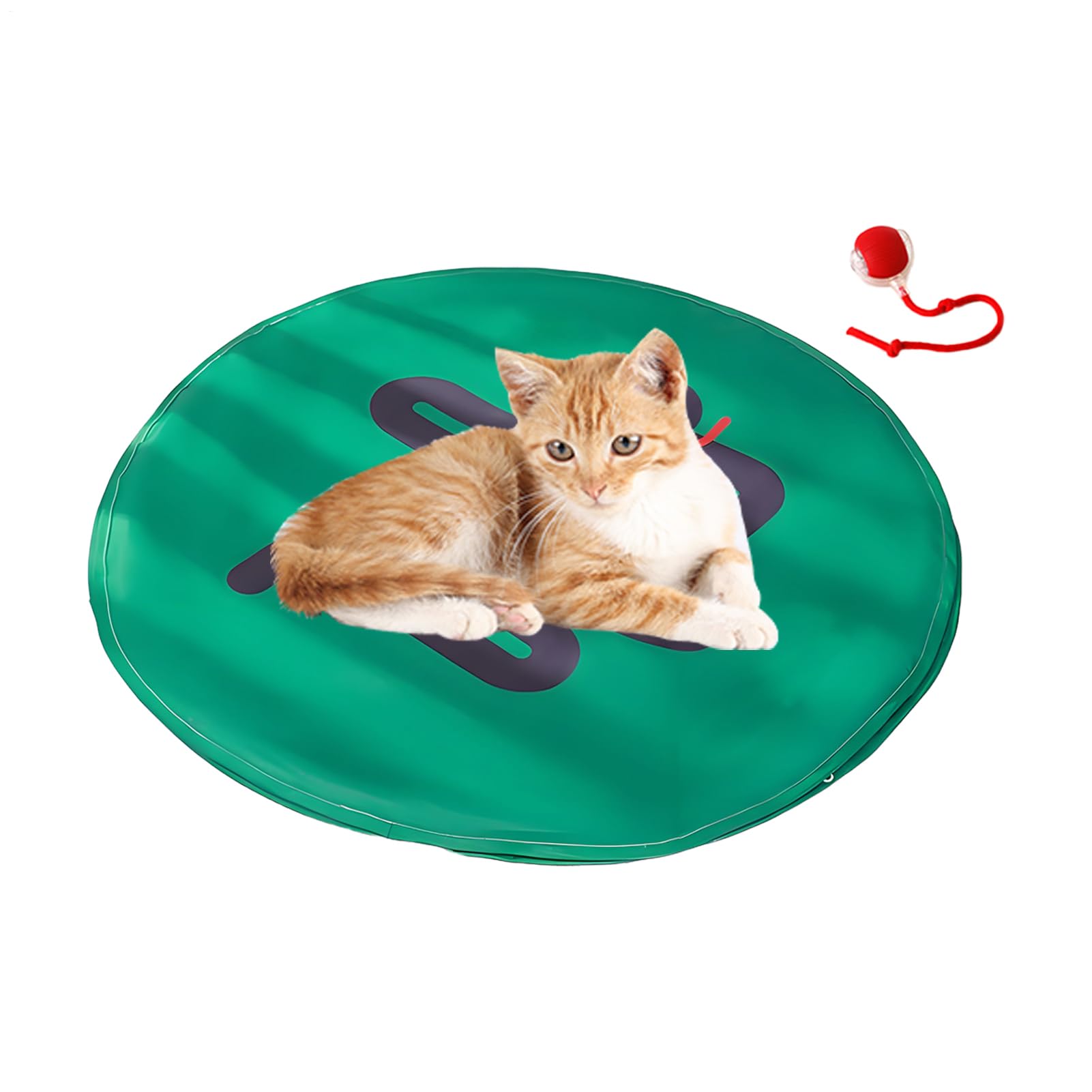 Jouet de chasse pour chat : tapis de jeu et jeu de capture d'intérieur