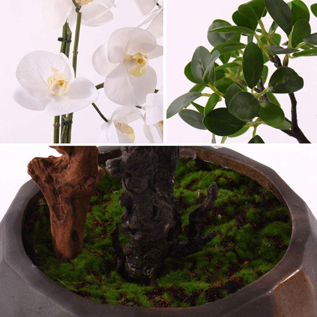 Bellissime Orchidee Fiori Artificiali Orchidee Bianche Fiori Artificiali Fiori Finti al Tatto Reali Composizione Floreale di Phalaenopsis in Seta con Vaso di Fiori,
