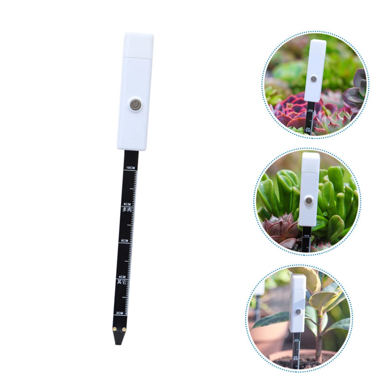 TOYANDONA 3 Piezas De Herramientas De Prueba Probador Hidrómetro Medidor De Humedad Para Jardín Detector De Humedad Sensor Digital Higrómetro Medidor De Humedad Hierro