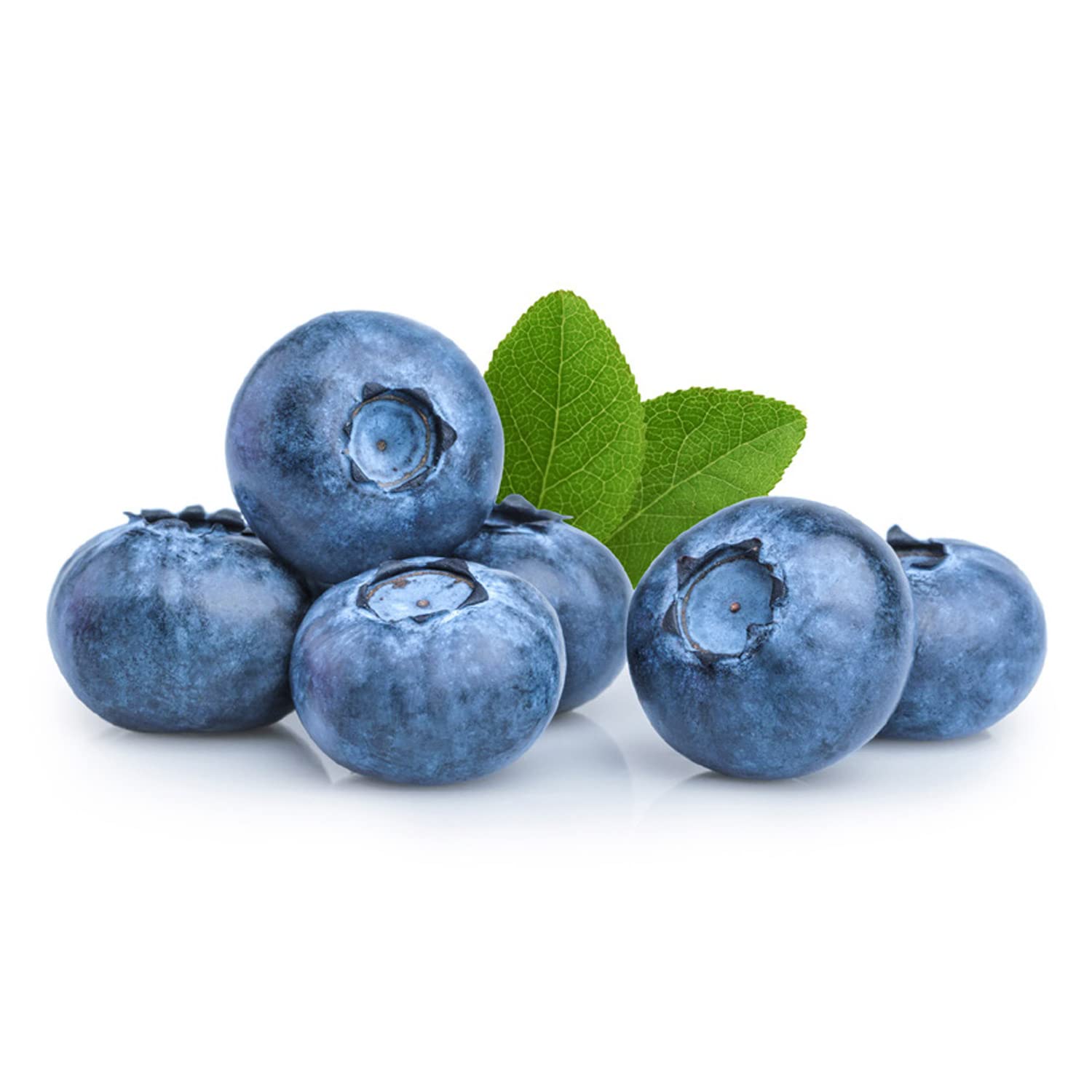 Blueberry Morocco 1pkt - Morocco