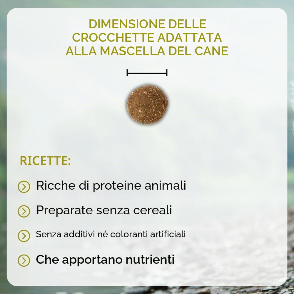 NUTRIVET - INNE CHIEN BALANCE - Crocchette senza cereali - Cane adulto sterilizzato o sovrappeso - Pollame - 80% ingredienti di origine animale - 12 kg