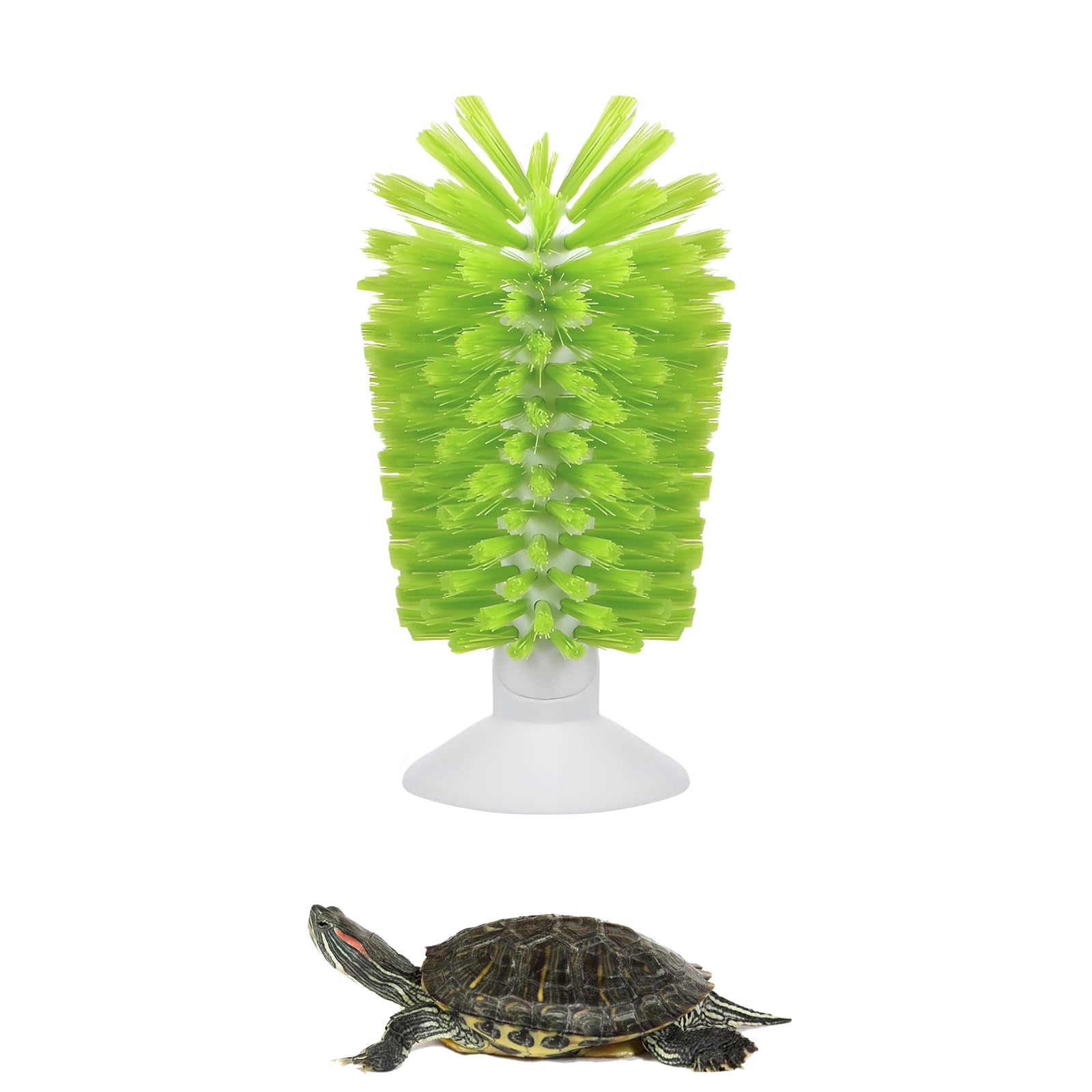 Brosse de nettoyage en forme de coquille de tortue verte avec ventouse, outils de cuisine pour la maison, brosse exfoliante pour tortue accessoires de réservoir