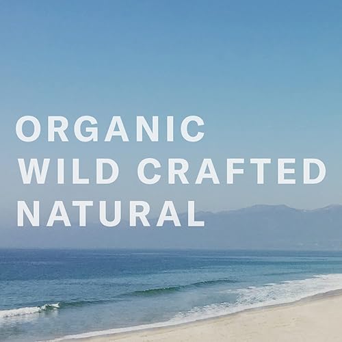 Miniatura 4 de Chocolate Sun - Crema bronceadora orgánica brillante media para rostro y cuerpo | Bronceado limpio, no tóxico sin sol (mediano, 8 oz | 8.0 fl oz)