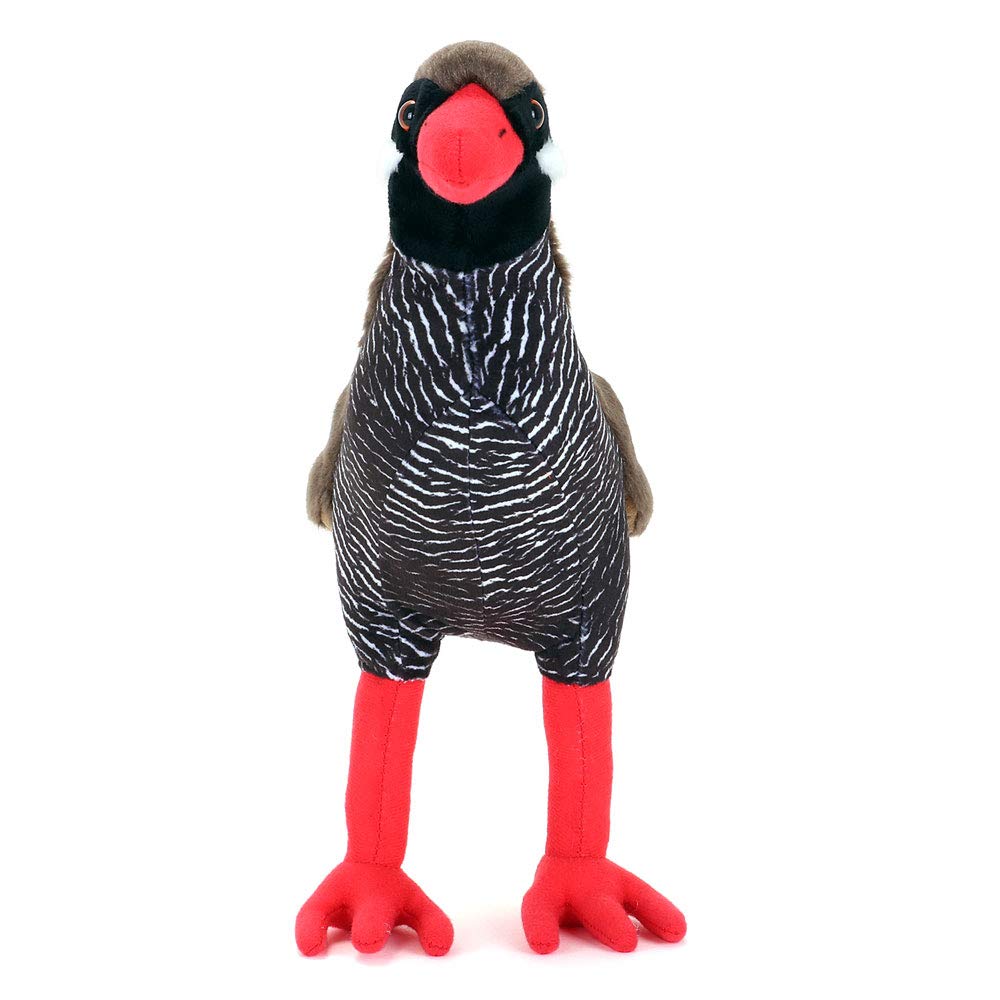 Amazon.co.jp: カロラータ ヤンバルクイナ ぬいぐるみ (親/やんばるの