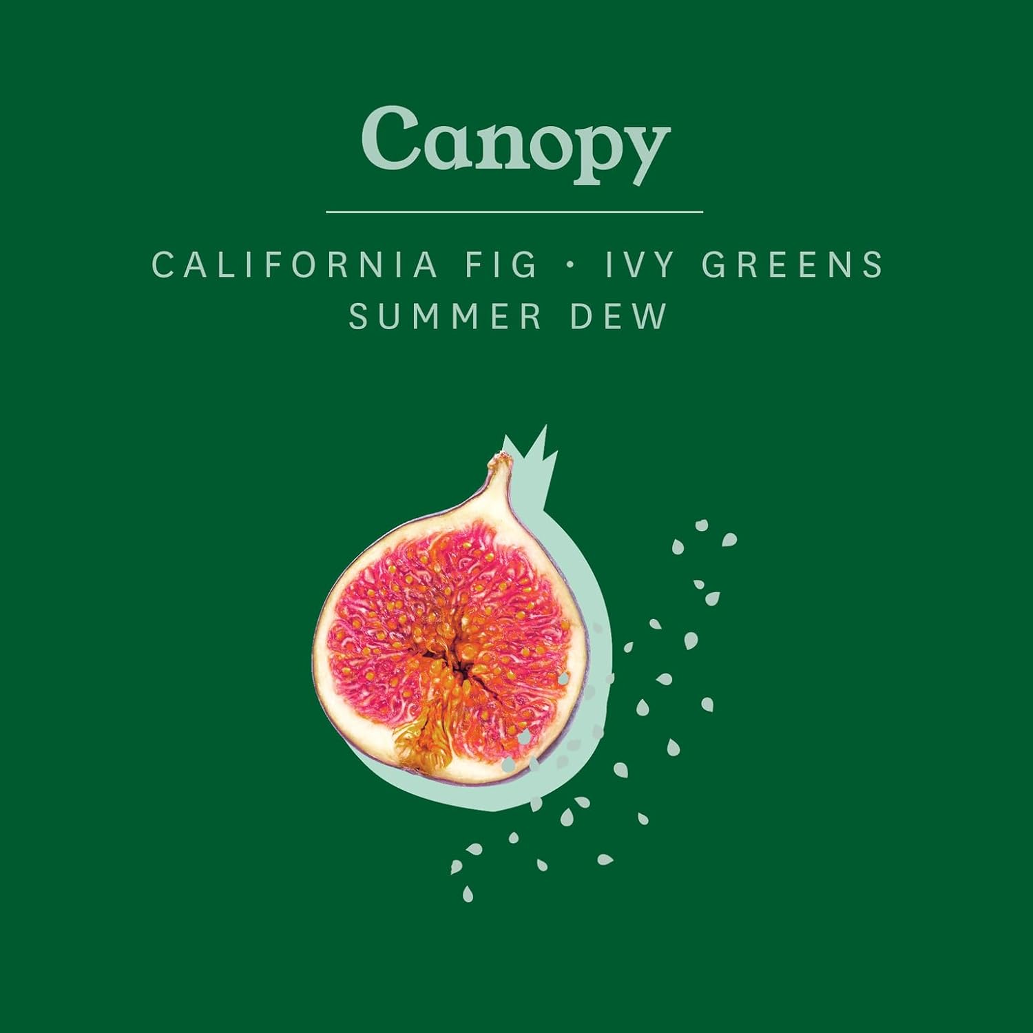Otherland Canopy Fig Scented Candle | Boxed Jar Candle | Luxury Candle | Single Wick Coconut & Soy Wax Blend Candle | Vegan Candle | Long Lasting Candle | White Candle (8 oz)